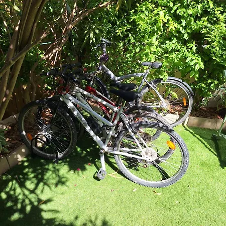 Appartement La P'tite Cigale Hyères