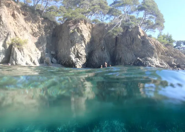 La P'tite Cigale * Ιέρ